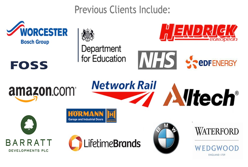 Business Advisor Previous Clients Logos 2 Min