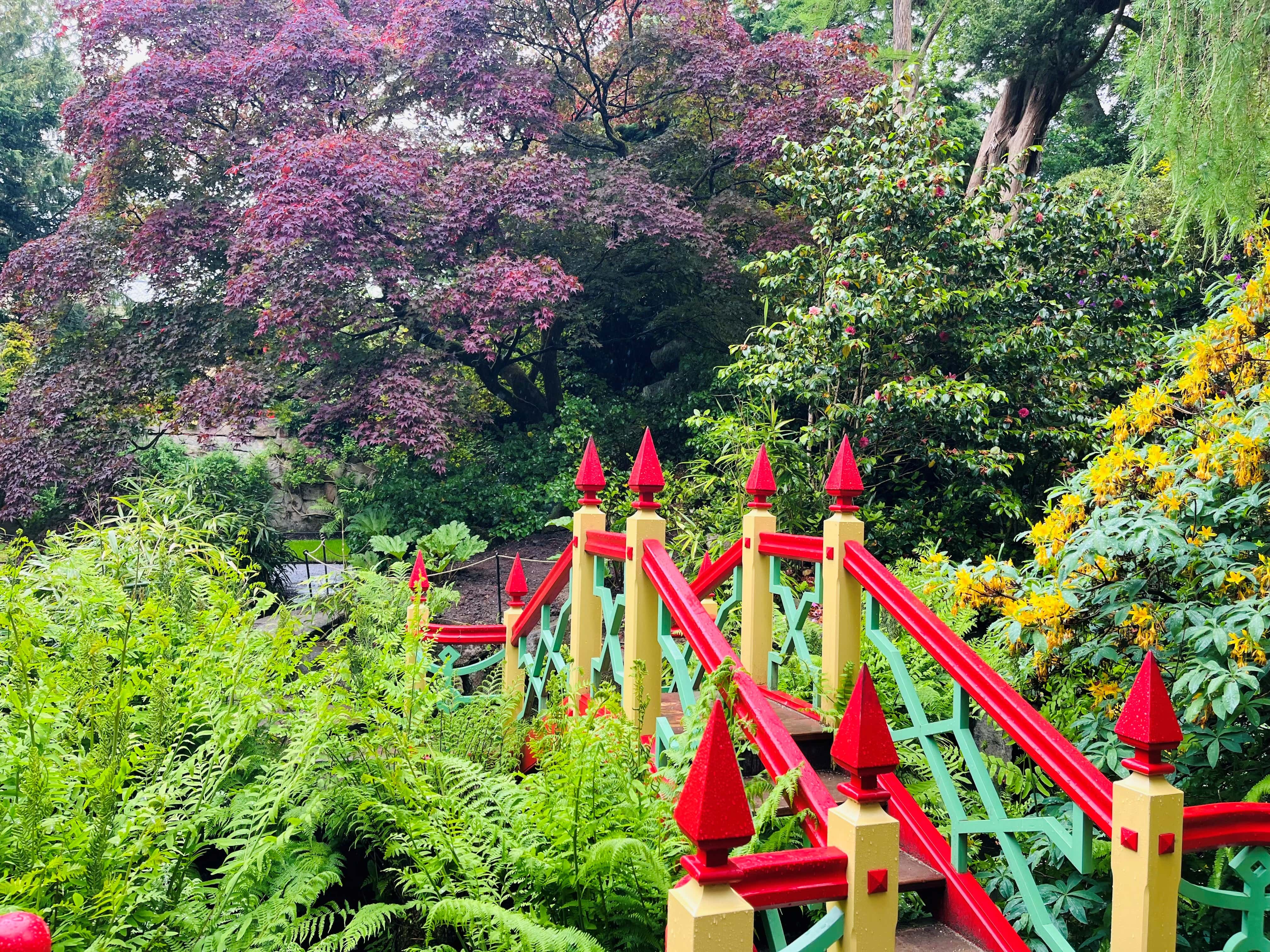 Leadership Coaching For Hr