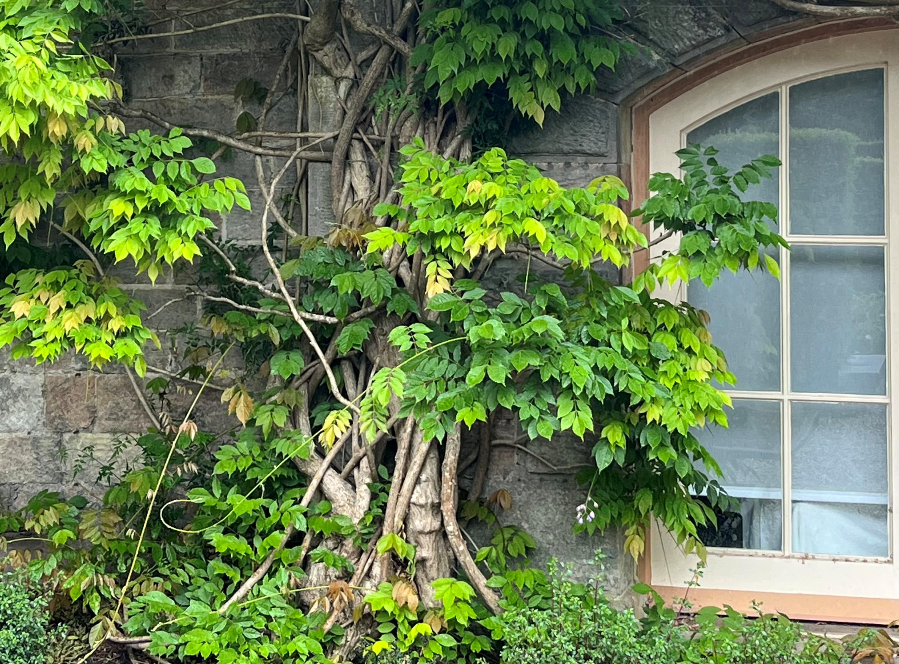 Startup Business Mentor Uk